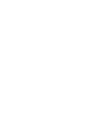 rnzys.logo